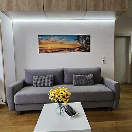 Ferienwohnung Porodicno-Poslovni Udoban Stan Belgrad Exterior foto