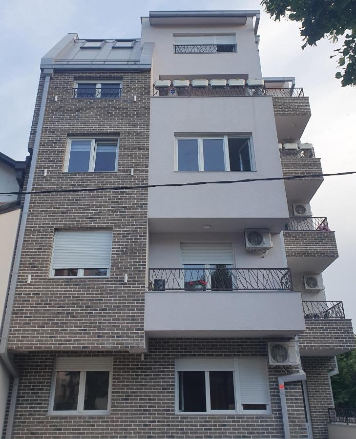 Ferienwohnung Porodicno-Poslovni Udoban Stan Belgrad Exterior foto